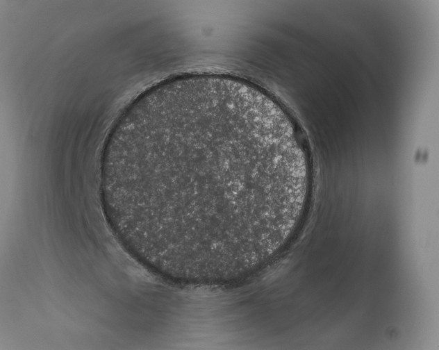 X0000112380673200909101347