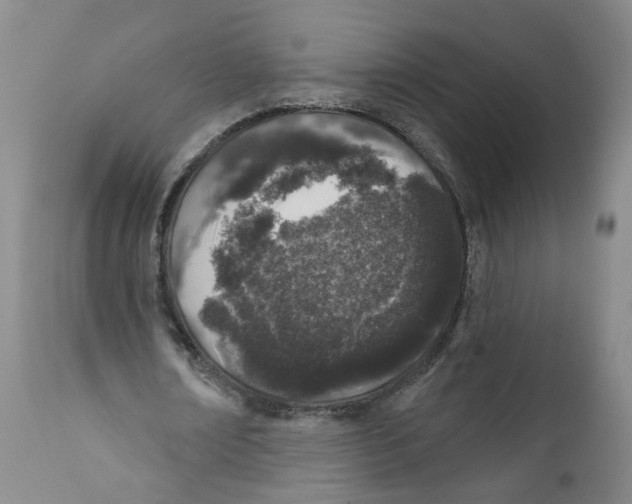 X0000112380674200909101347