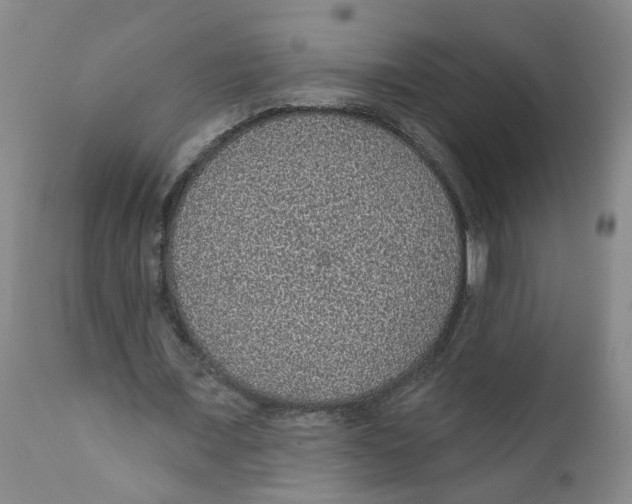 X0000112380675200909101347