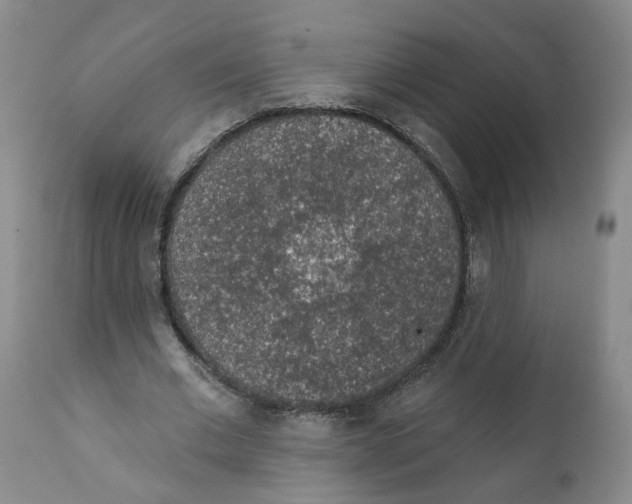 X0000112380677200909101347