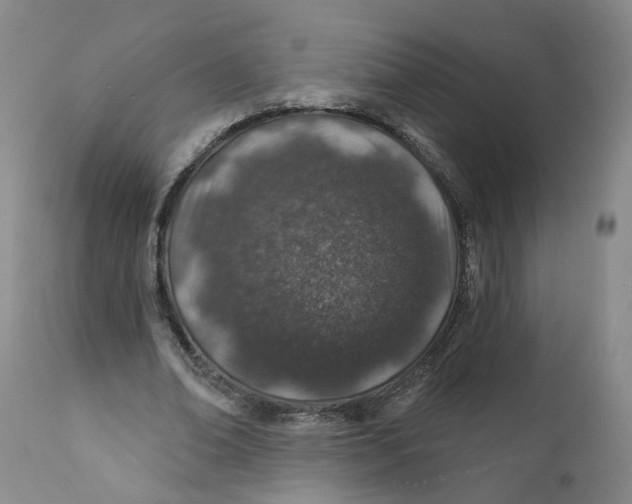 X0000112380678200909101347