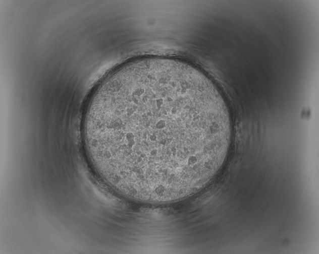 X0000112380679200909101347