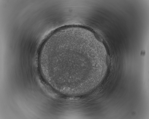 X0000112380680200909101347