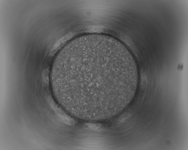 X0000112380681200909101347