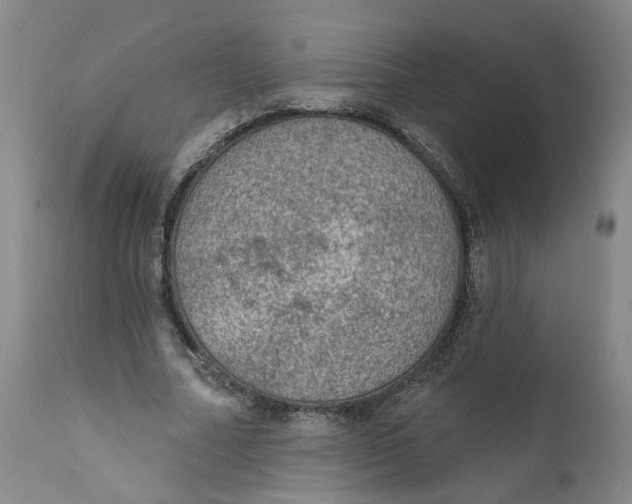 X0000112380682200909101347