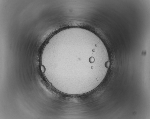 X0000112380683200909101347