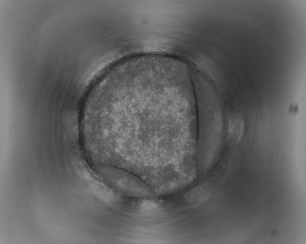 X0000112380684200909101347