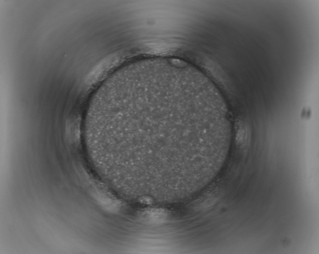 X0000112380685200909101347