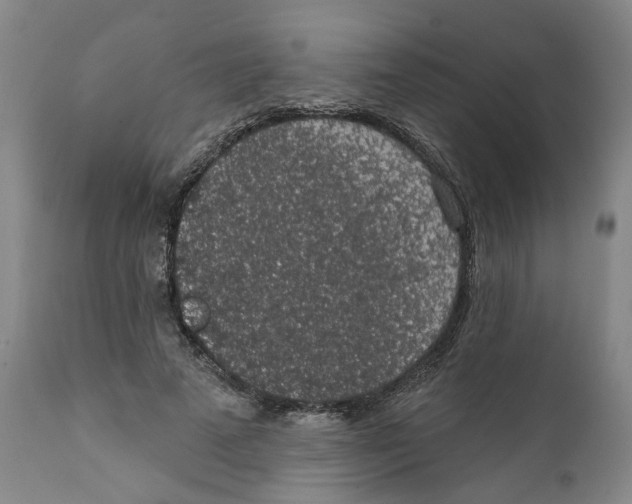 X0000112380689200909101347