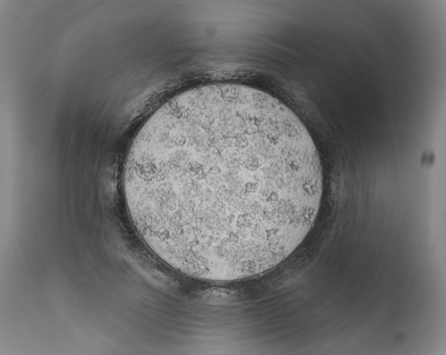 X0000112380691200909101347