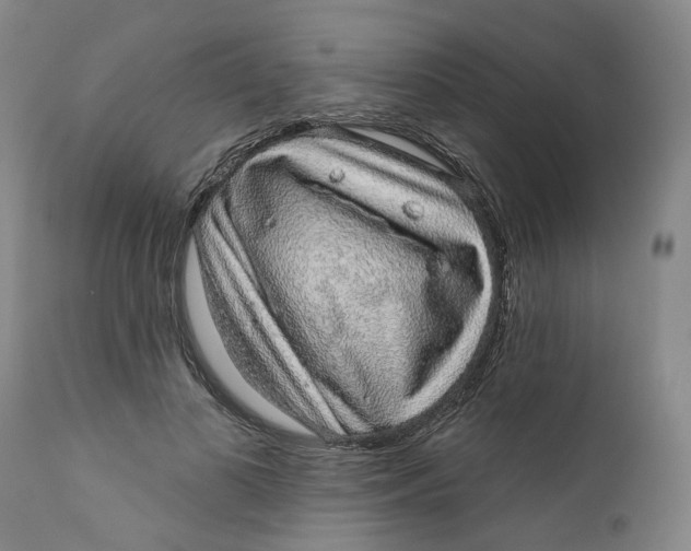 X0000112380693200909101347