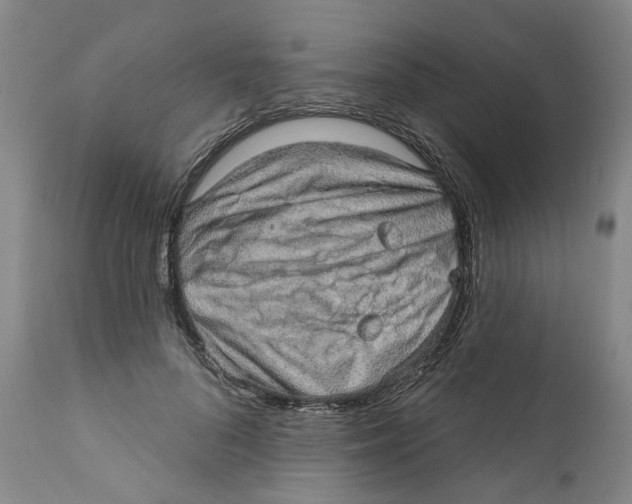 X0000112380696200909101347