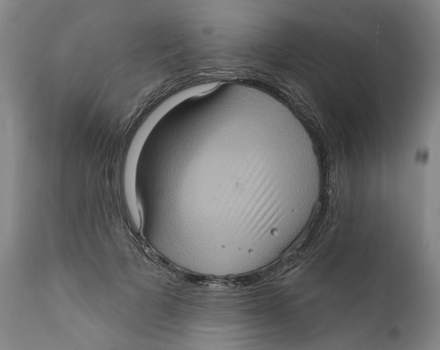 X0000112380697200909101347