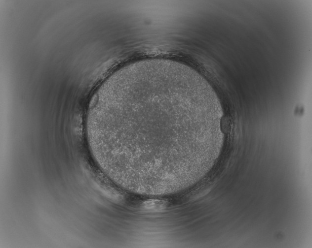 X0000112380700200909101347