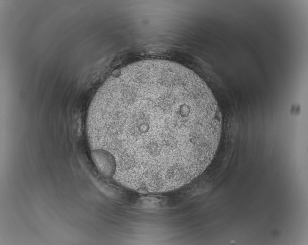 X0000112380703200909101346