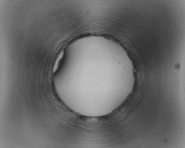 X0000112380705200909101346