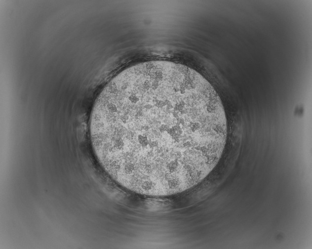 X0000112380707200909101346