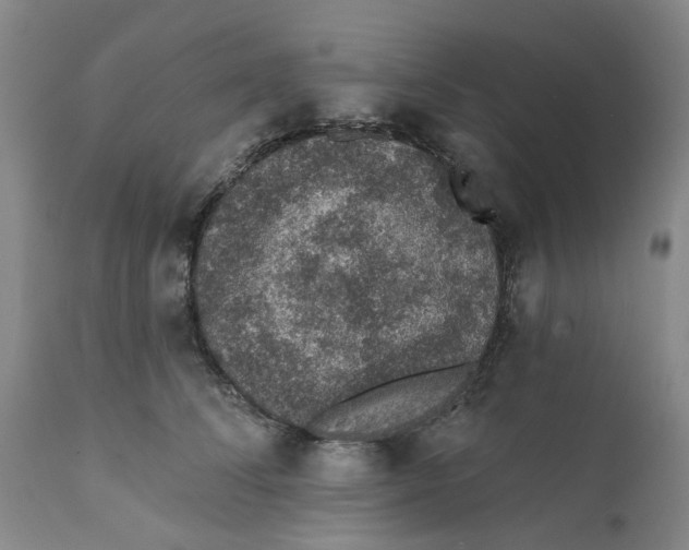 X0000112380708200909101346