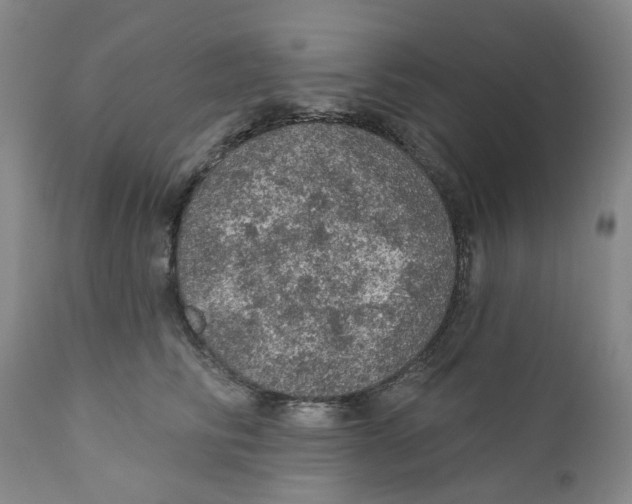 X0000112380710200909101346