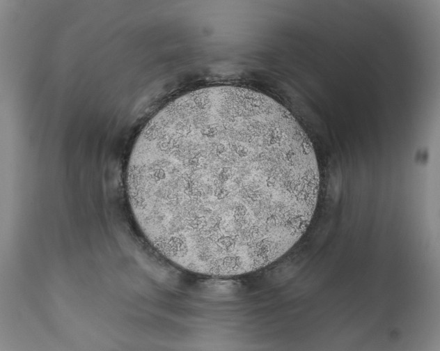 X0000112380711200909101346