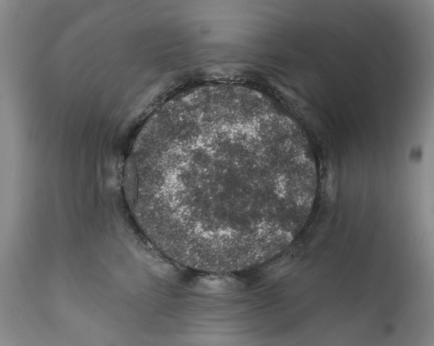 X0000112380712200909101346