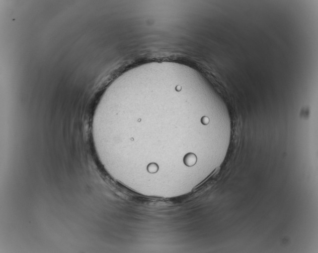 X0000112380716200909101346