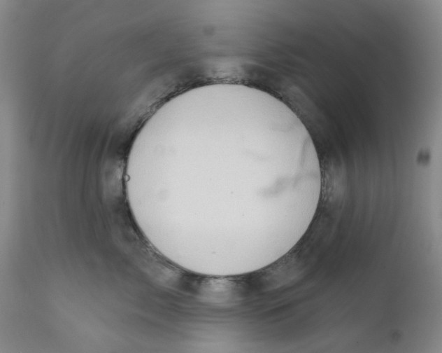 X0000112380717200909101346