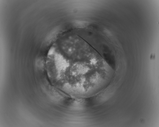 X0000112380720200909101346