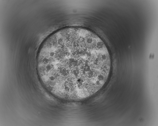 X0000112380721200909101345