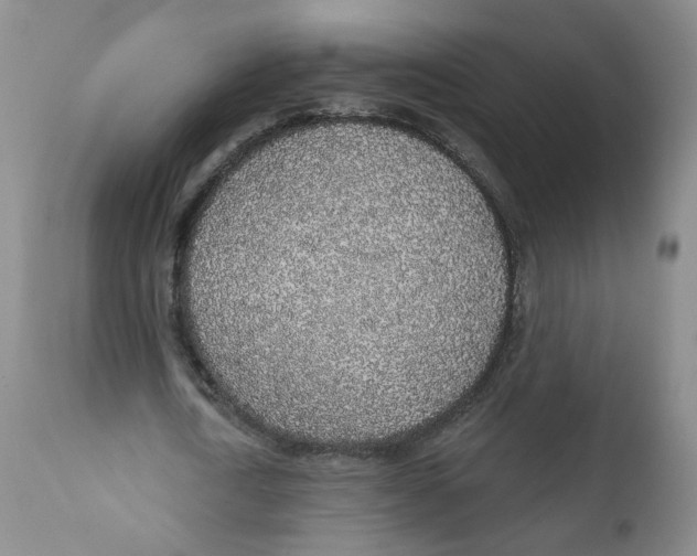 X0000112380722200909101345