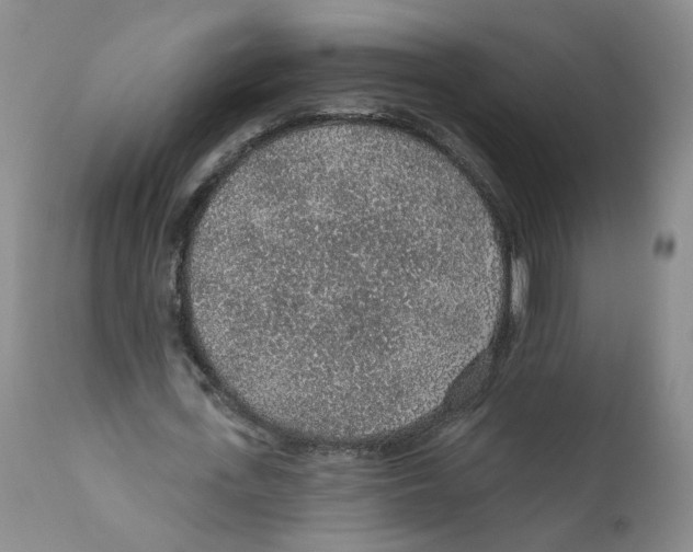 X0000112380723200909101345