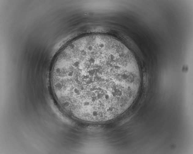 X0000112380725200909101345