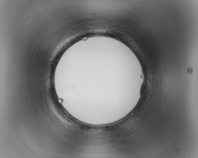 X0000112380728200909101346