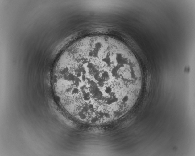 X0000112380729200909101346