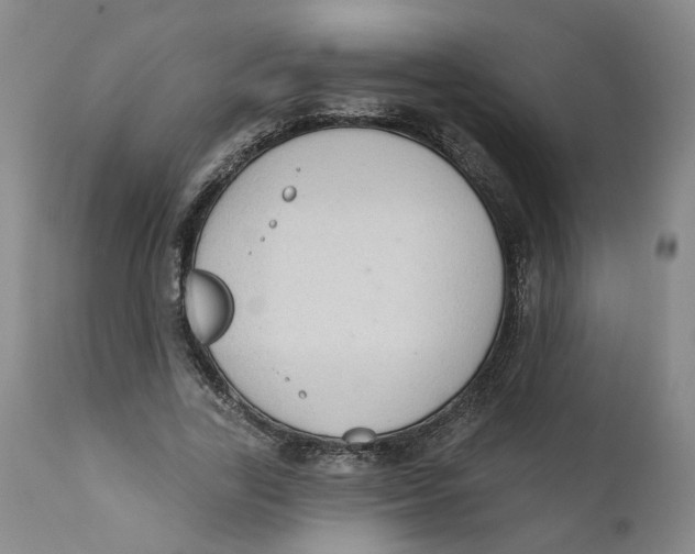 X0000112380731200909101346