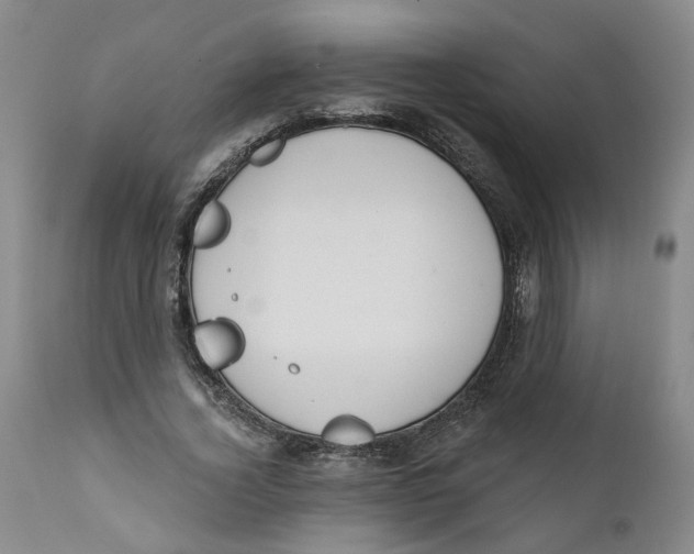 X0000112380732200909101346