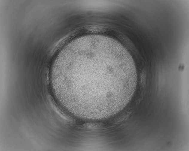 X0000112380733200909101346