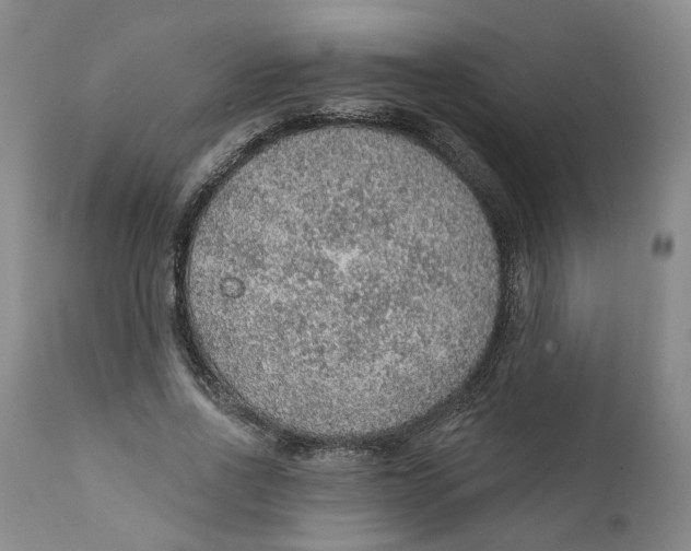 X0000112380734200909101346