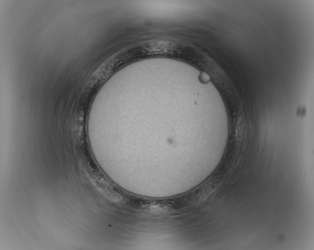 X0000112380737200909101346