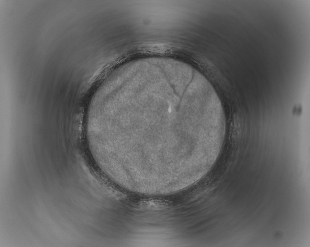 X0000112380739200909101346