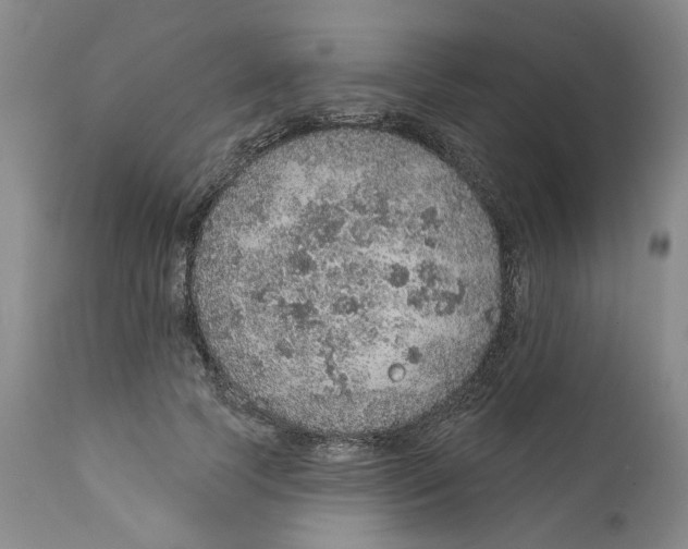 X0000112380745200909101346