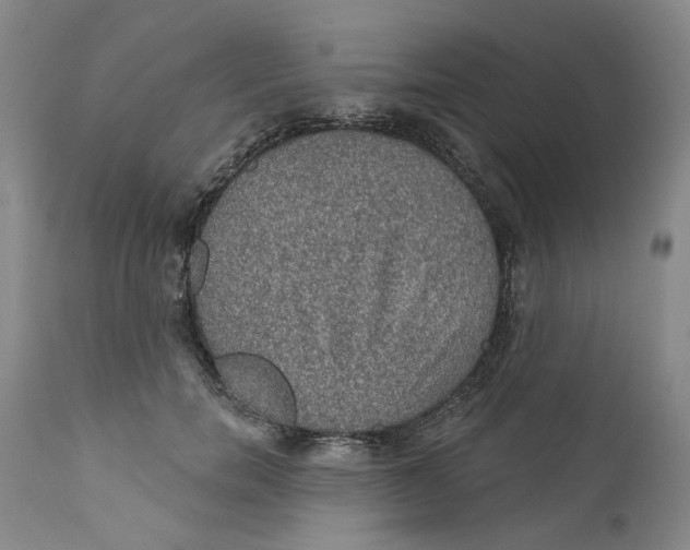 X0000112380750200909101346