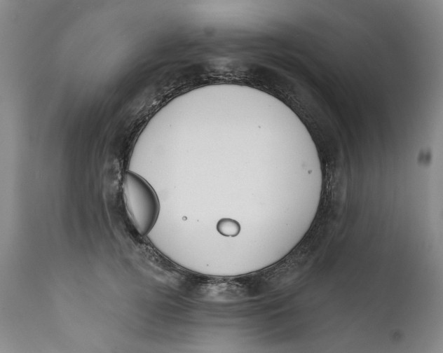 X0000112380752200909101346