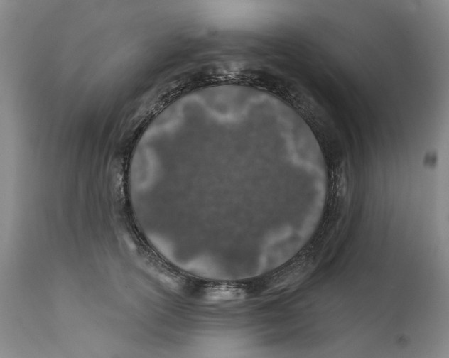 X0000112380754200909101346