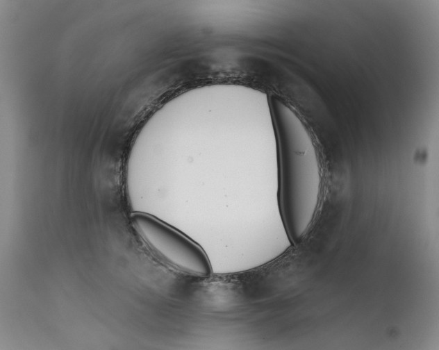 X0000112380756200909101346