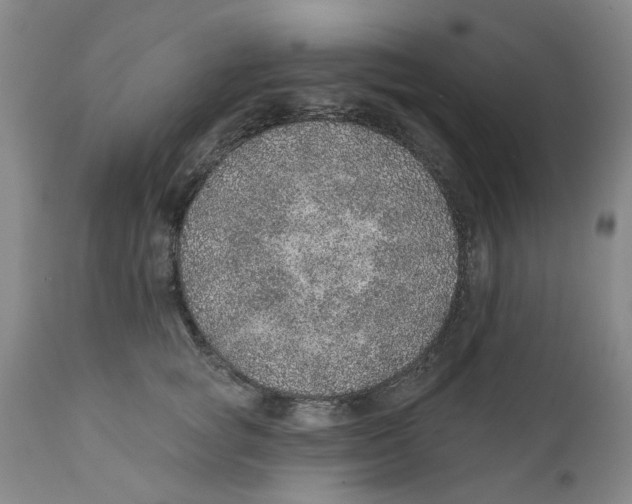 X0000112380757200909101346