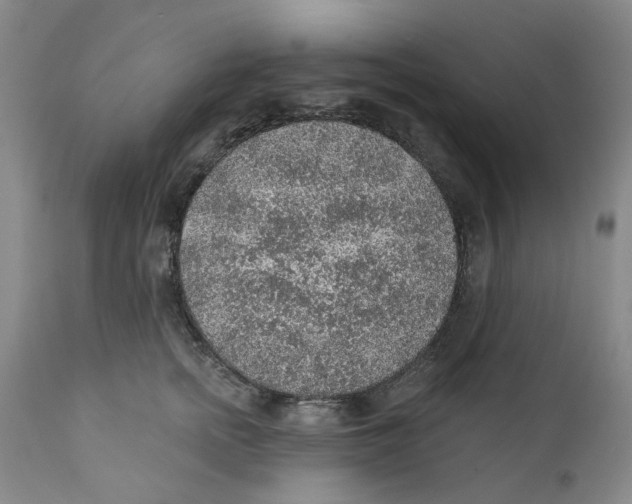 X0000112380758200909101346