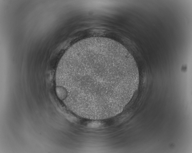 X0000112380759200909101346