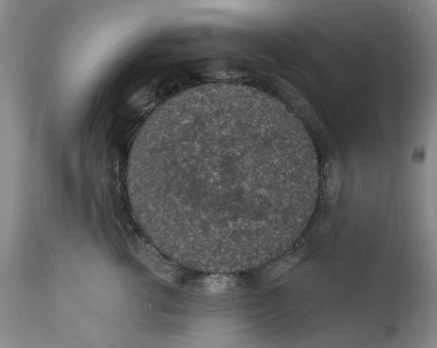 X0000112380762200909101346