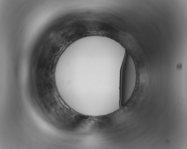 X0000112380764200909101346